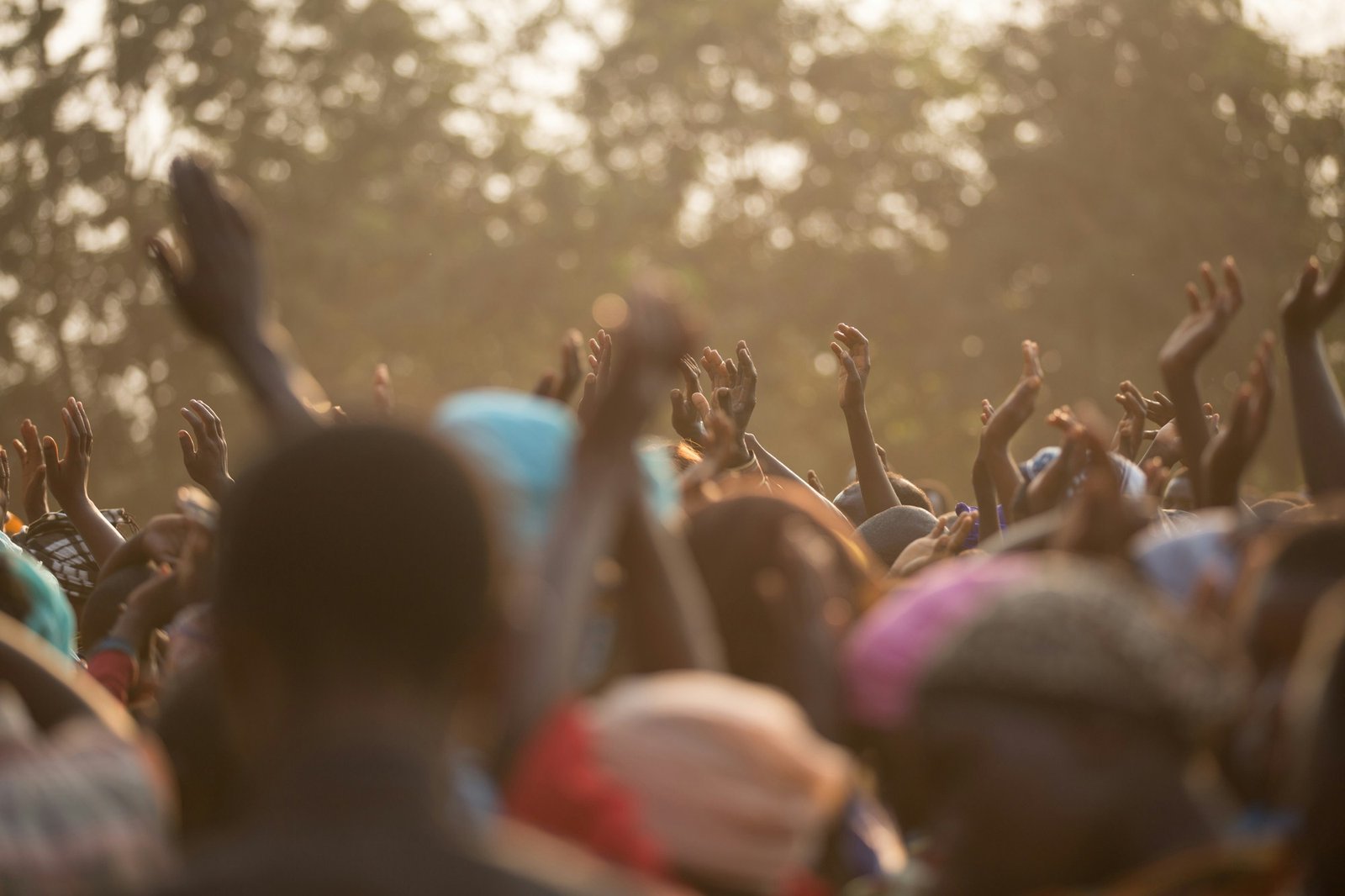 A crowd with hands raised together at golden hour.