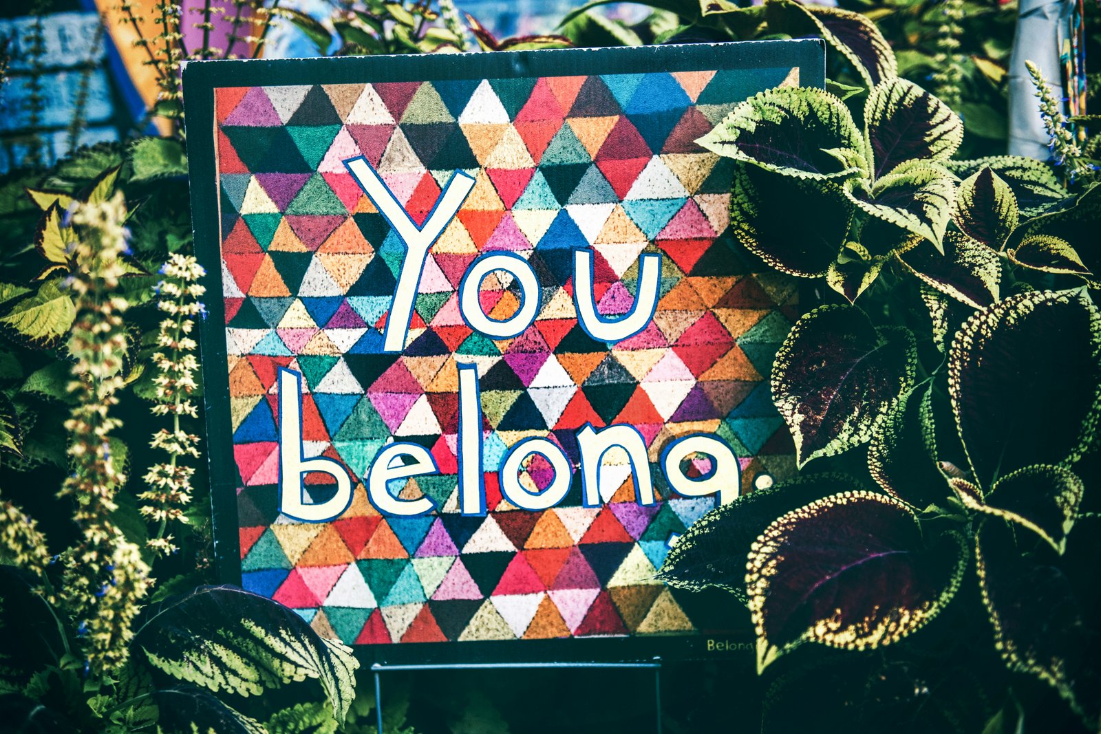 Colorful 'You belong' sign.